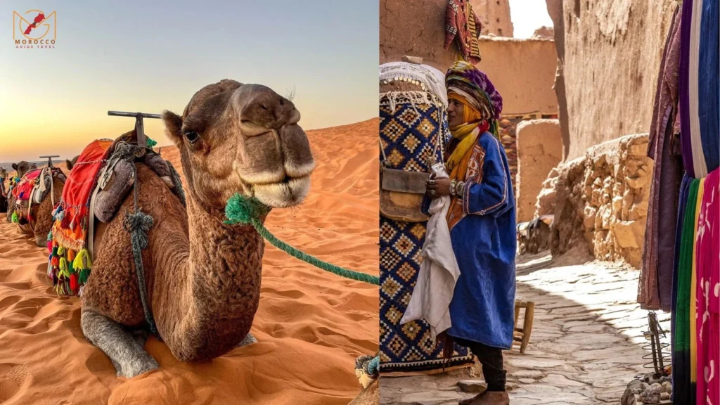 morocco desert tours